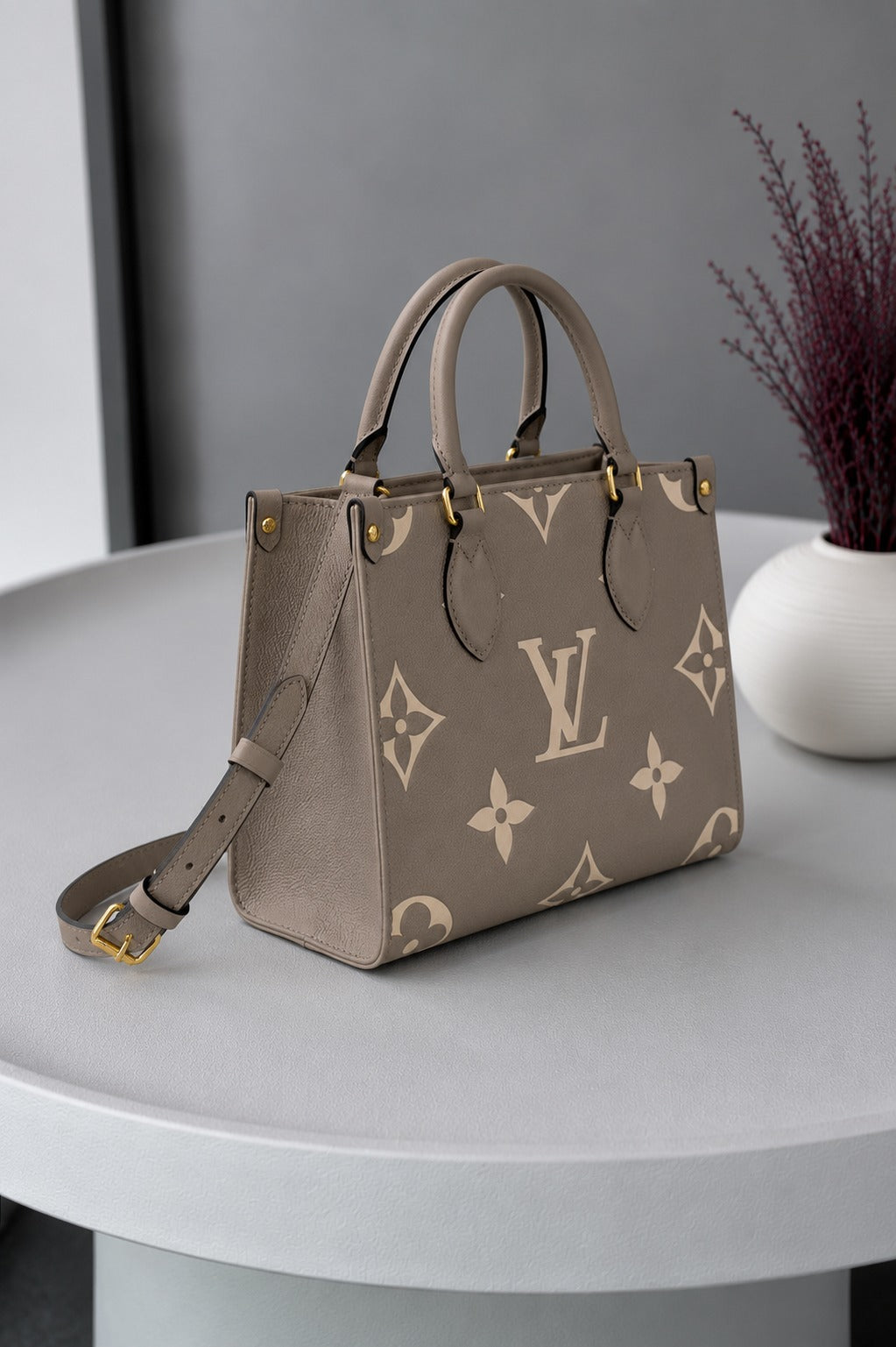 LOUIS VUITTON ONTHGO PM